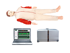 DY/CPR900高級心肺復(fù)蘇模擬人（計算機控制）